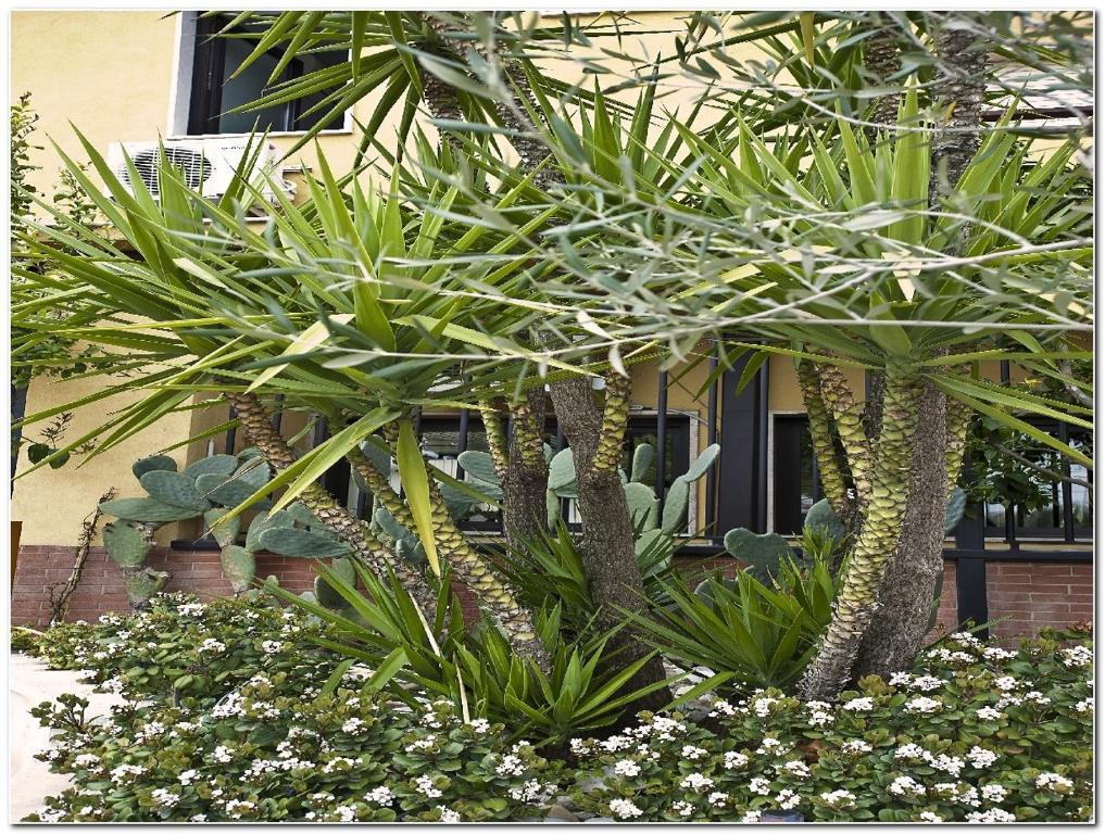 Hotel Veronese Cerignola Luaran gambar